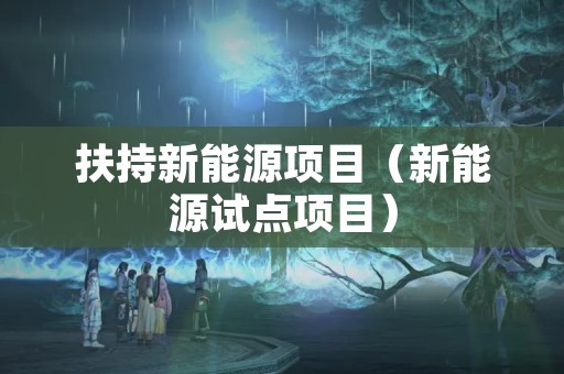 扶持新能源项目（新能源试点项目）