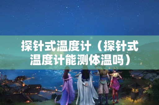 探针式温度计（探针式温度计能测体温吗）