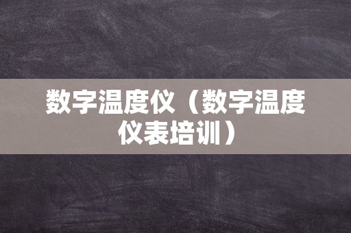数字温度仪（数字温度仪表培训）