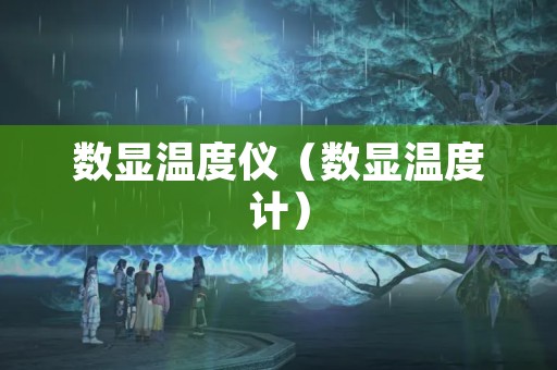 数显温度仪（数显温度计）