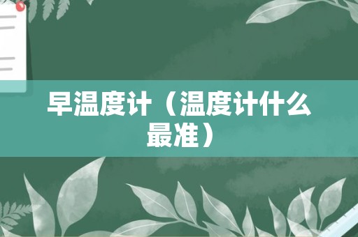 早温度计（温度计什么最准）