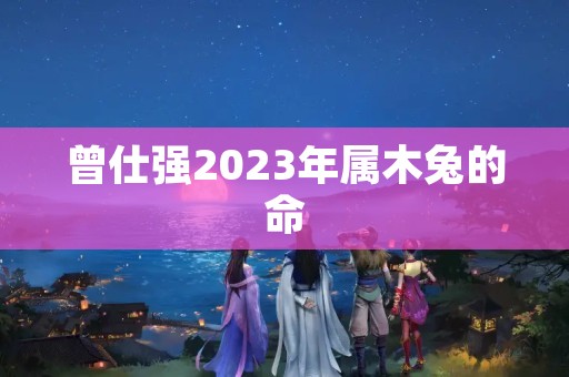 曾仕强2023年属木兔的命