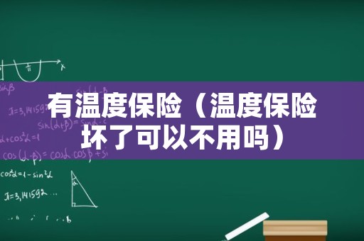 有温度保险（温度保险坏了可以不用吗）