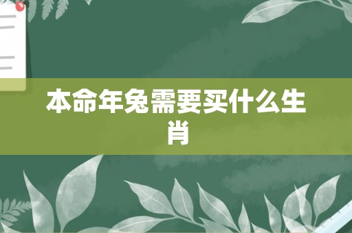 本命年兔需要买什么生肖