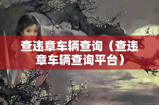 查违章车辆查询（查违章车辆查询平台）