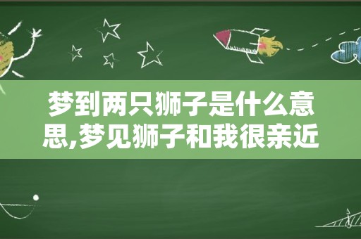 梦到两只狮子是什么意思,梦见狮子和我很亲近