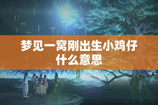 梦见一窝刚出生小鸡仔什么意思