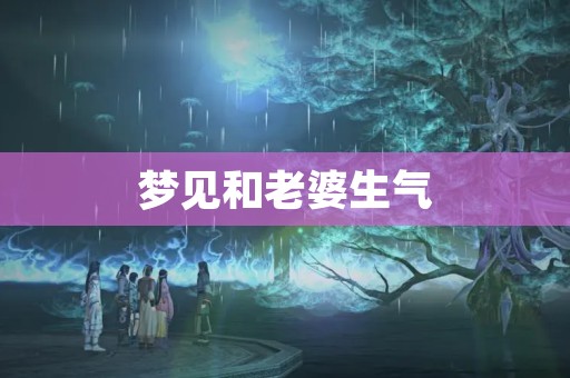 梦见和老婆生气