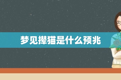 梦见撵猫是什么预兆