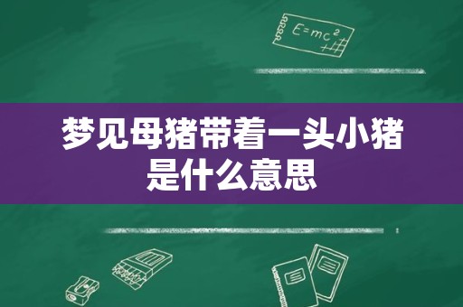 梦见母猪带着一头小猪是什么意思