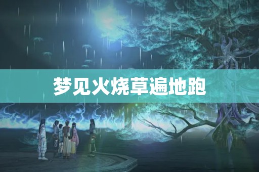 梦见火烧草遍地跑