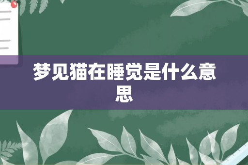梦见猫在睡觉是什么意思