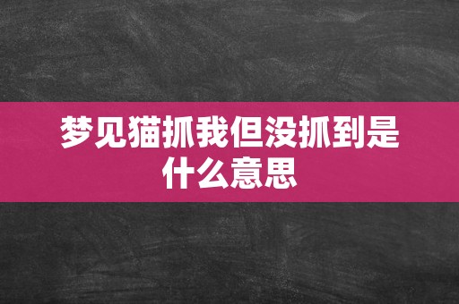 梦见猫抓我但没抓到是什么意思