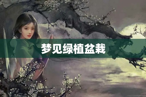 梦见绿植盆栽