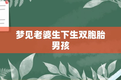梦见老婆生下生双胞胎男孩