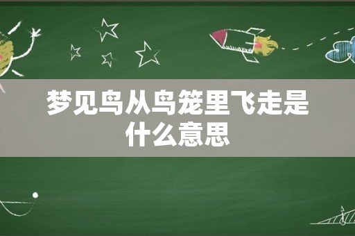 梦见鸟从鸟笼里飞走是什么意思
