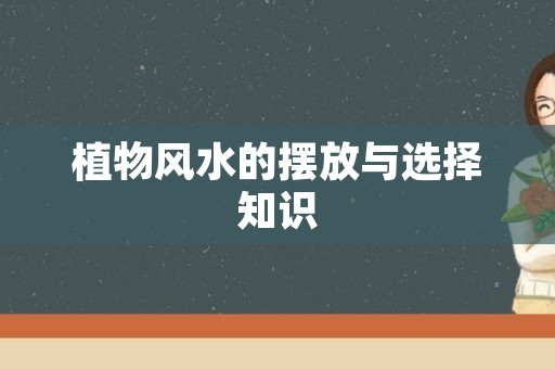 植物风水的摆放与选择知识
