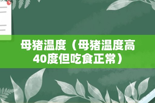 母猪温度（母猪温度高40度但吃食正常）