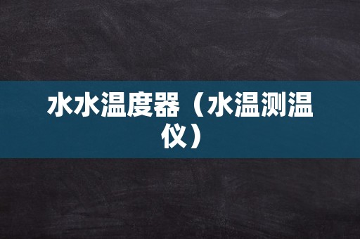 水水温度器（水温测温仪）