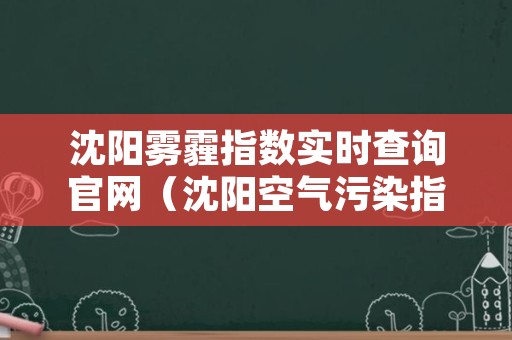 沈阳雾霾指数实时查询官网（沈阳空气污染指数实时查询）