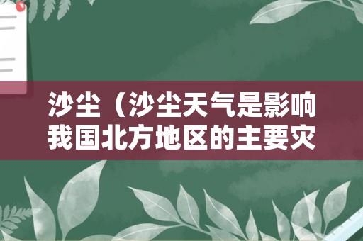 沙尘（沙尘天气是影响我国北方地区的主要灾害性天气之一）