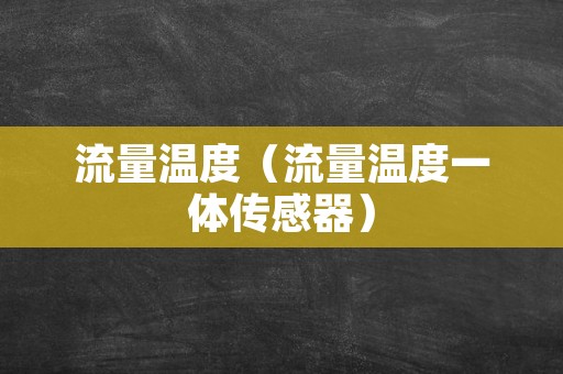 流量温度（流量温度一体传感器）