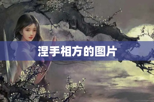 涅手相方的图片