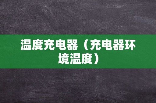 温度充电器（充电器环境温度）