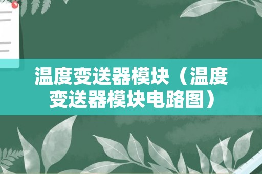 温度变送器模块（温度变送器模块电路图）