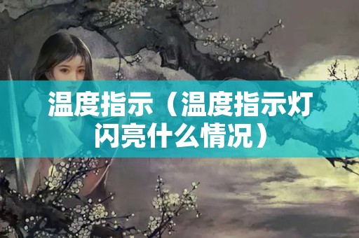 温度指示（温度指示灯闪亮什么情况）