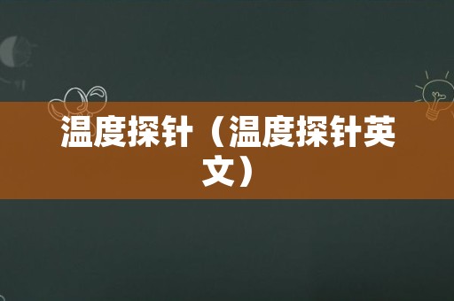 温度探针（温度探针英文）