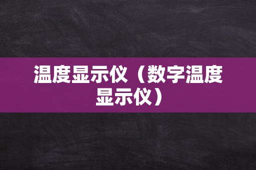 温度显示仪（数字温度显示仪）