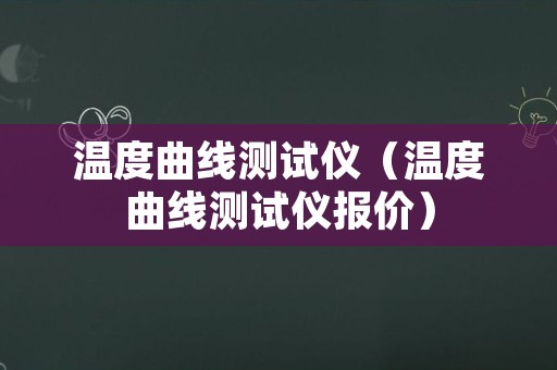 温度曲线测试仪（温度曲线测试仪报价）