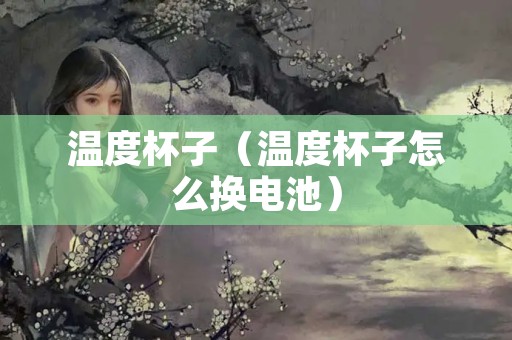 温度杯子（温度杯子怎么换电池）