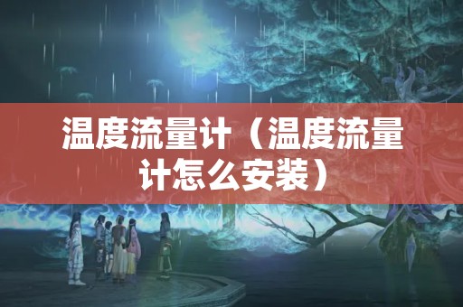 温度流量计（温度流量计怎么安装）