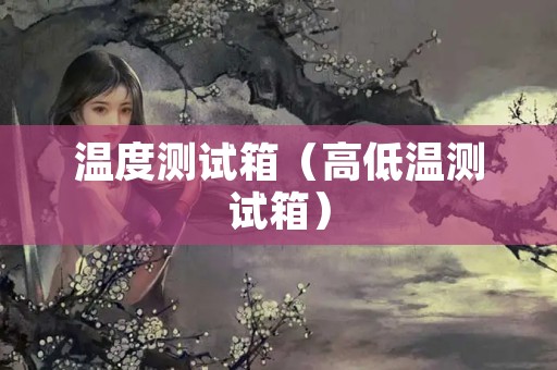 温度测试箱（高低温测试箱）