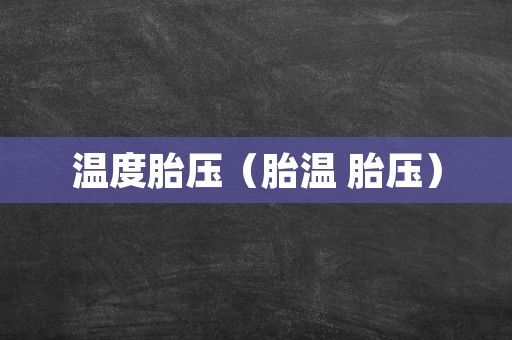 温度胎压（胎温 胎压）