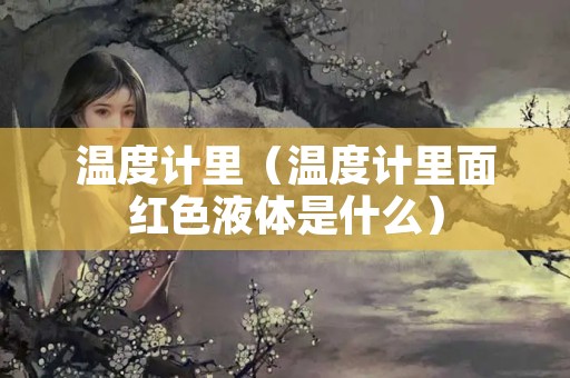 温度计里（温度计里面红色液体是什么）