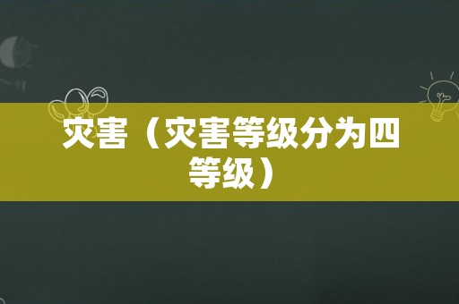 灾害（灾害等级分为四等级）