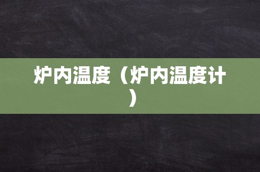 炉内温度（炉内温度计）
