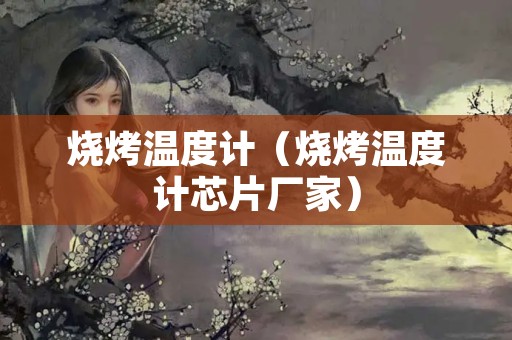 烧烤温度计（烧烤温度计芯片厂家）