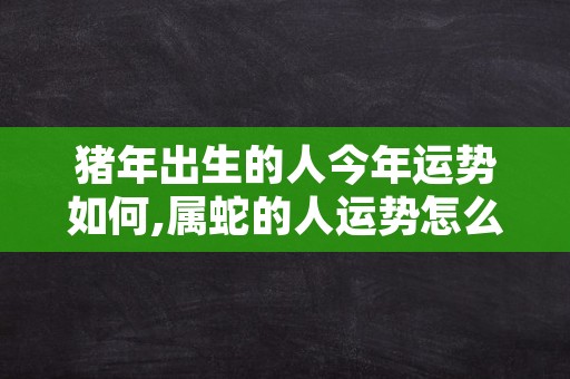 猪年出生的人今年运势如何,属蛇的人运势怎么样