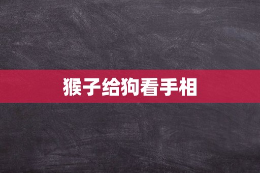 猴子给狗看手相