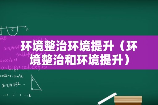 环境整治环境提升（环境整治和环境提升）