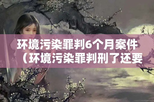 环境污染罪判6个月案件（环境污染罪判刑了还要罚款吗）