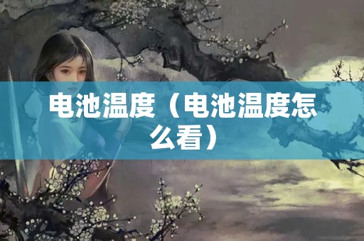 电池温度（电池温度怎么看）