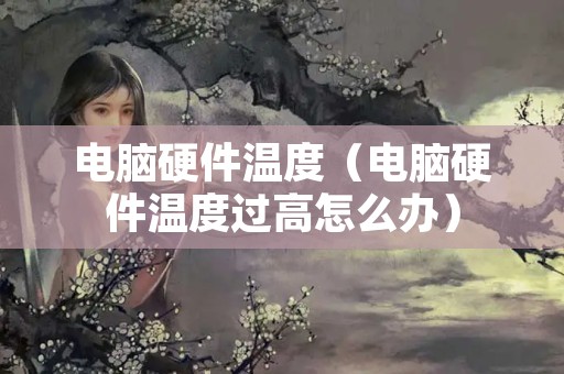 电脑硬件温度（电脑硬件温度过高怎么办）