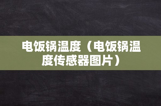 电饭锅温度（电饭锅温度传感器图片）