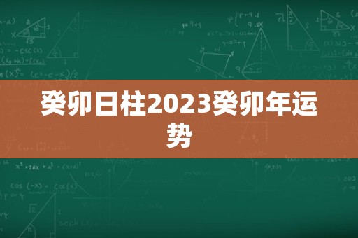 癸卯日柱2023癸卯年运势