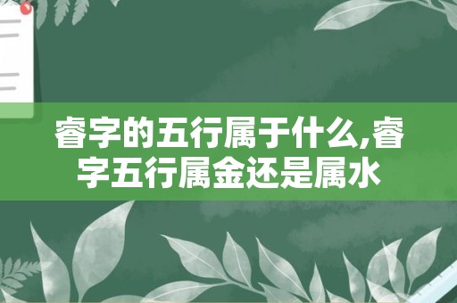 睿字的五行属于什么,睿字五行属金还是属水